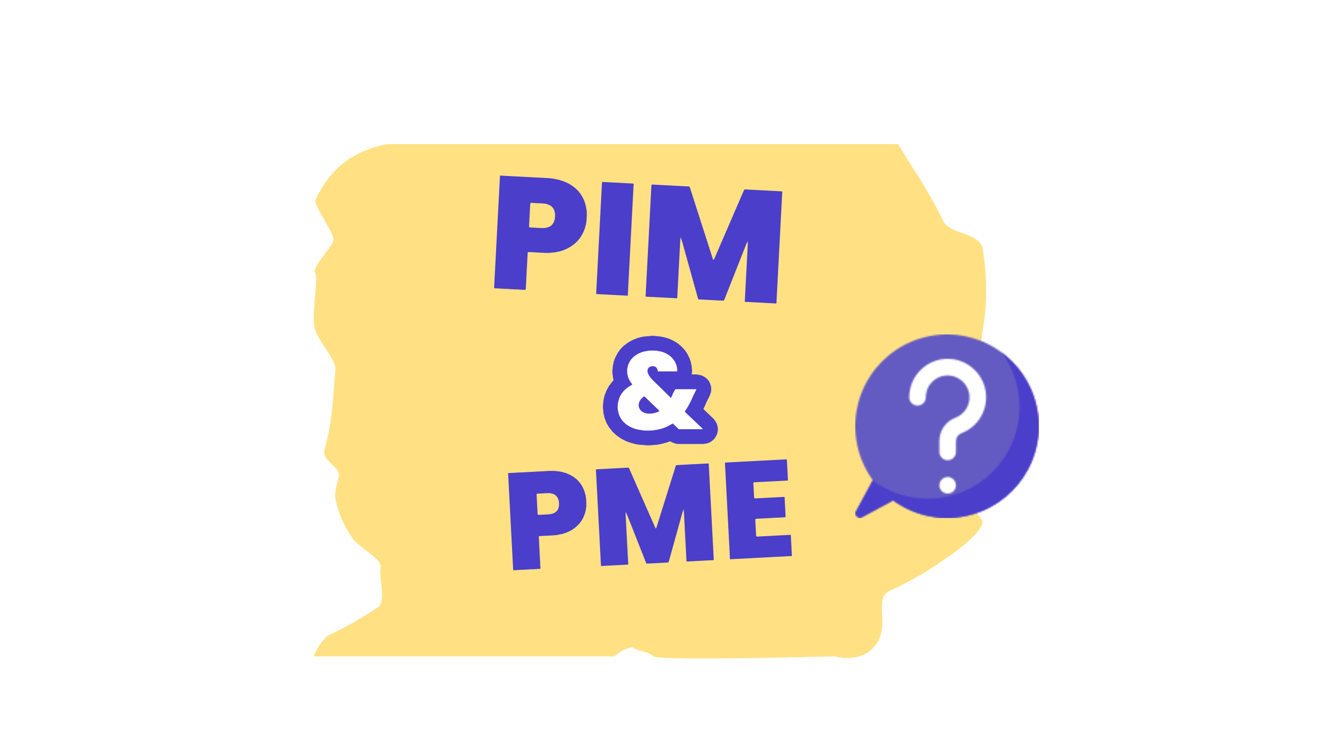 PIM pour PME, comment choisir ?